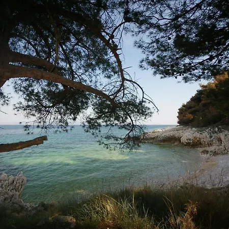 Ornela Appartement *